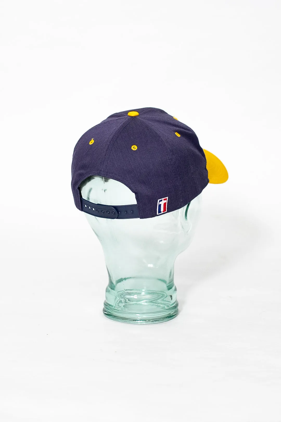 00s Michigan Cap