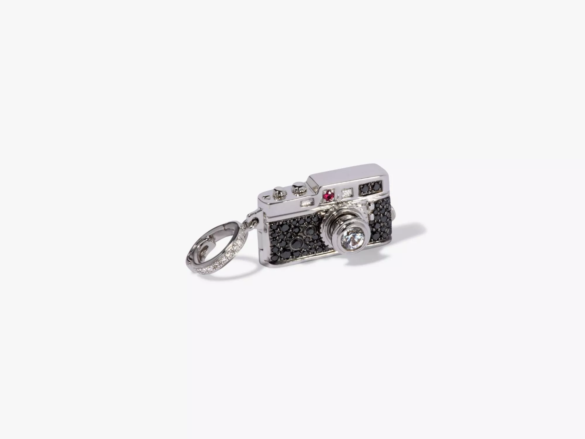 Camera Locket                            -                                                            -                         