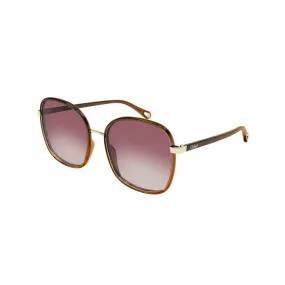 Chloe Sunglass Woman Brown Brown Pink CH0031S-006