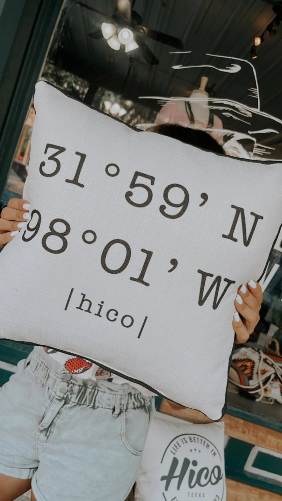 Coordinate Pillow
