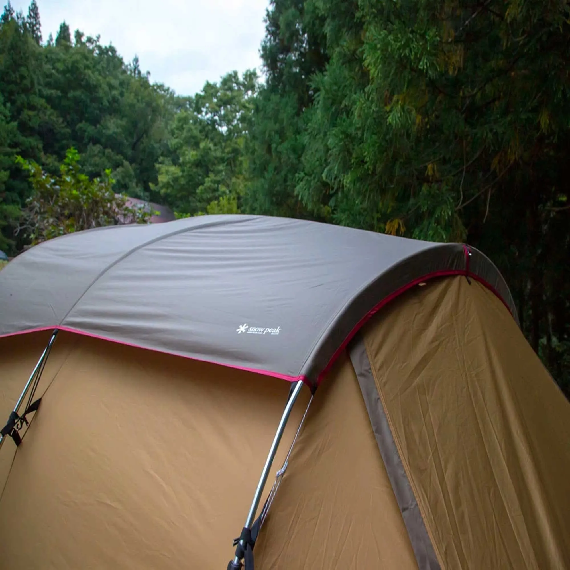 Entry 2 Room Elfield Tent