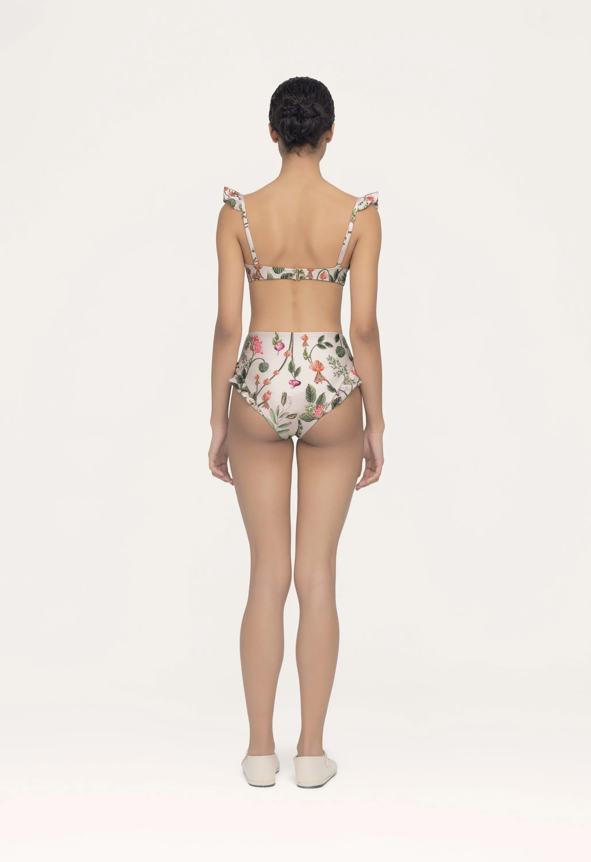 Jengibre Cultivo Bikini Bottom