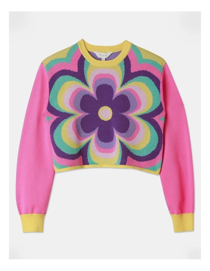 Knitted Jacquard Jumper in Rainbow