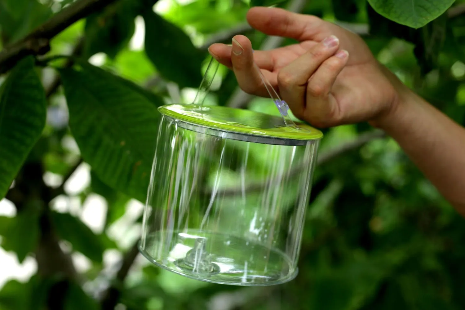 MPOWERD Luci Outdoor Inflatable Solar Light  
