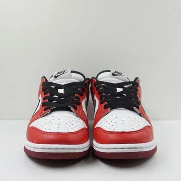 Nike Dunk By You Chicago