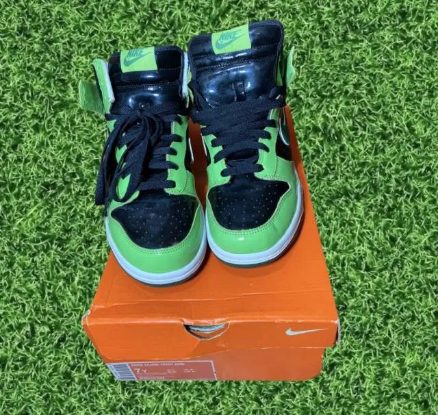 Nike dunk high 