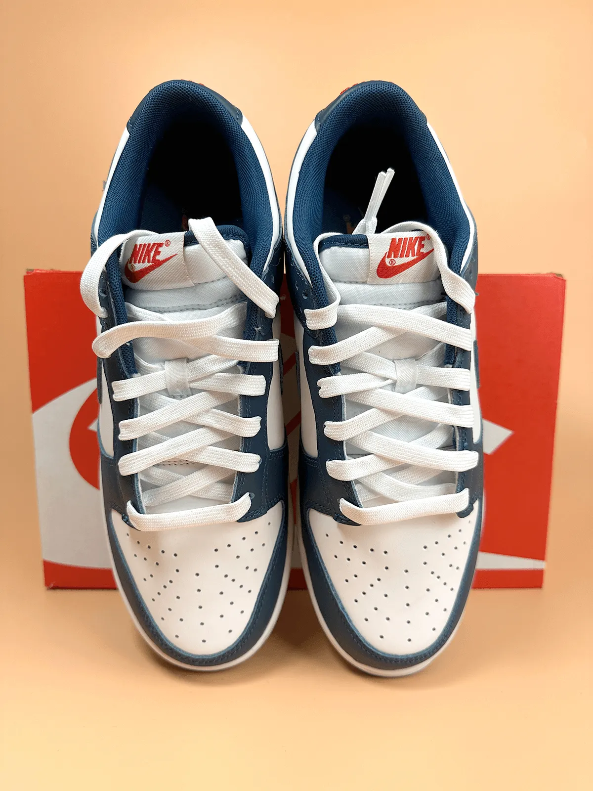 Nike Dunk Low Valerian Blue