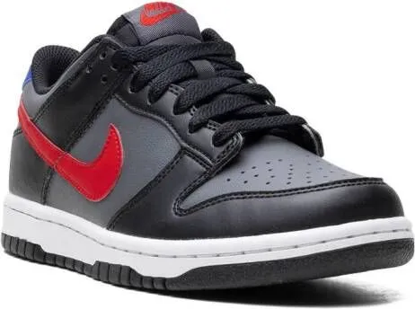 Nike Kids Dunk Low GS 