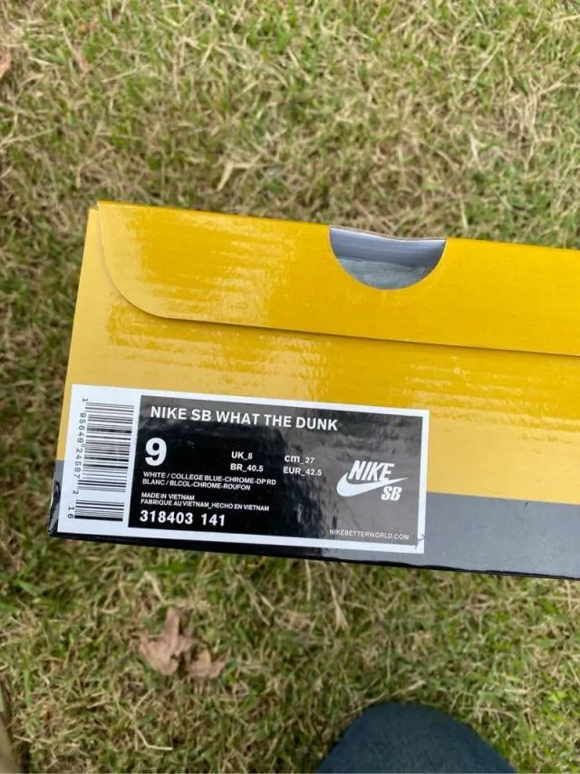 Nike sb dunk low what the dunk