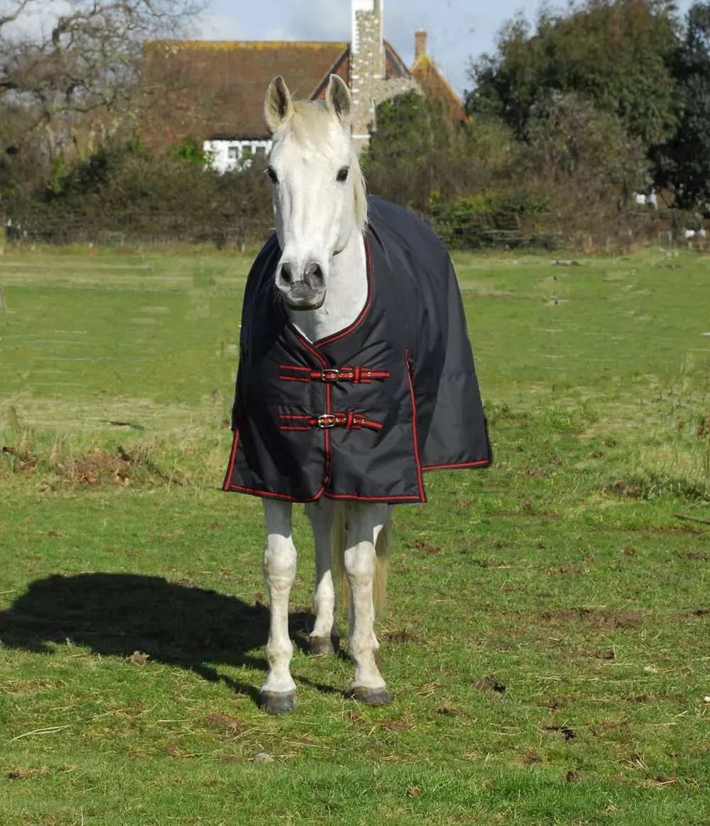 Rhinegold Thor Heavyweight Turnout Rug