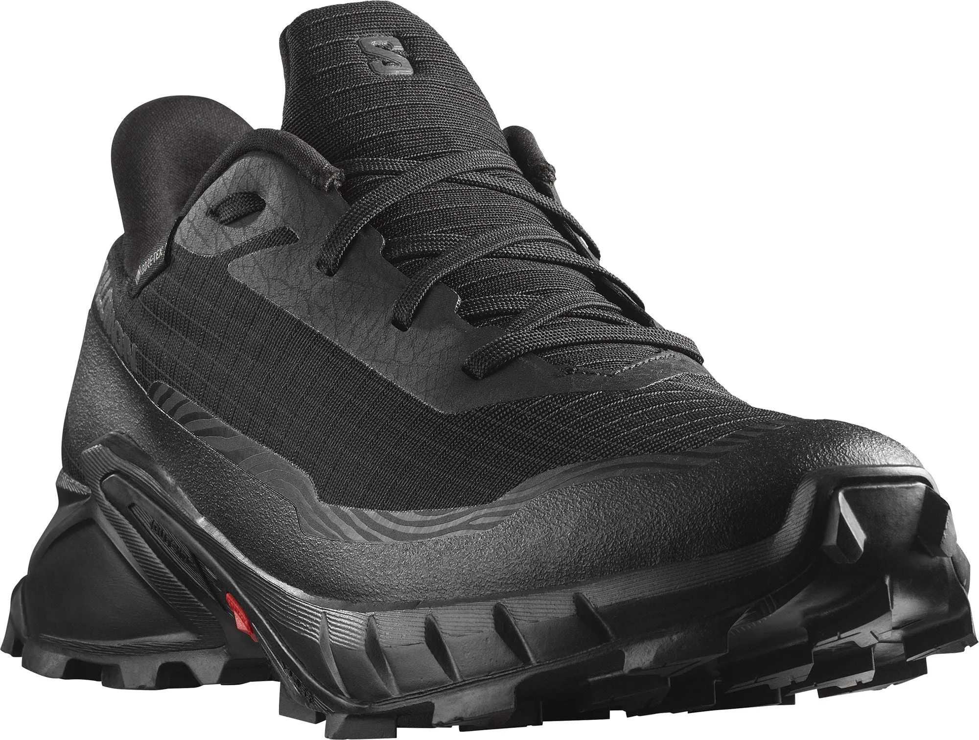 Salomon Alphacross 5 GTX Black