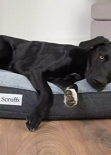 Scruffs Harvard Memory Foam Orthopaedic Dog Mattress - Grey | Kaleidoscope