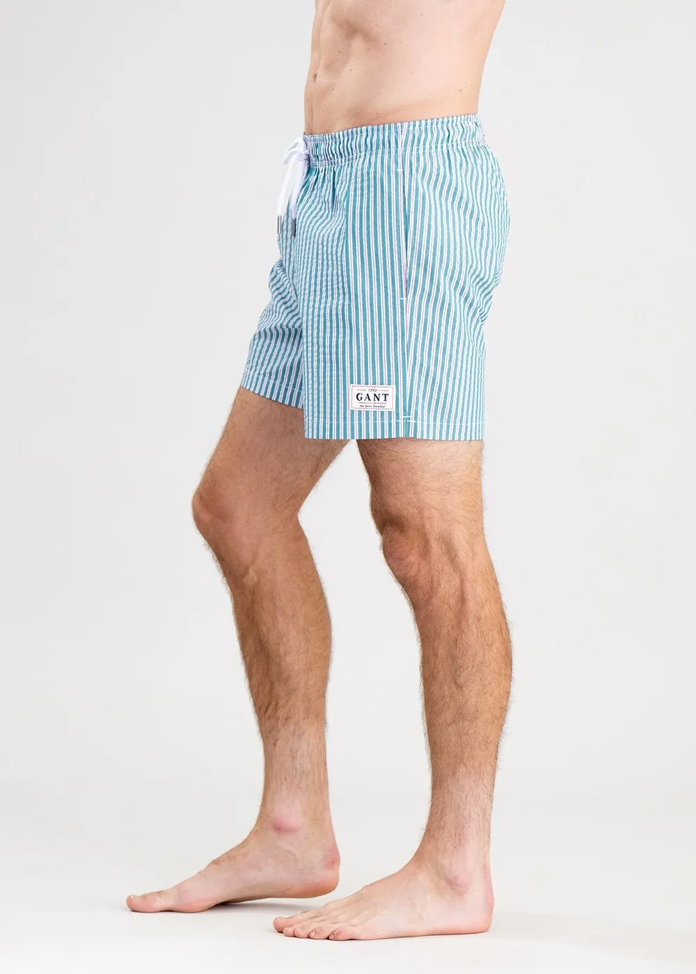 Seersucker Swim Shorts
