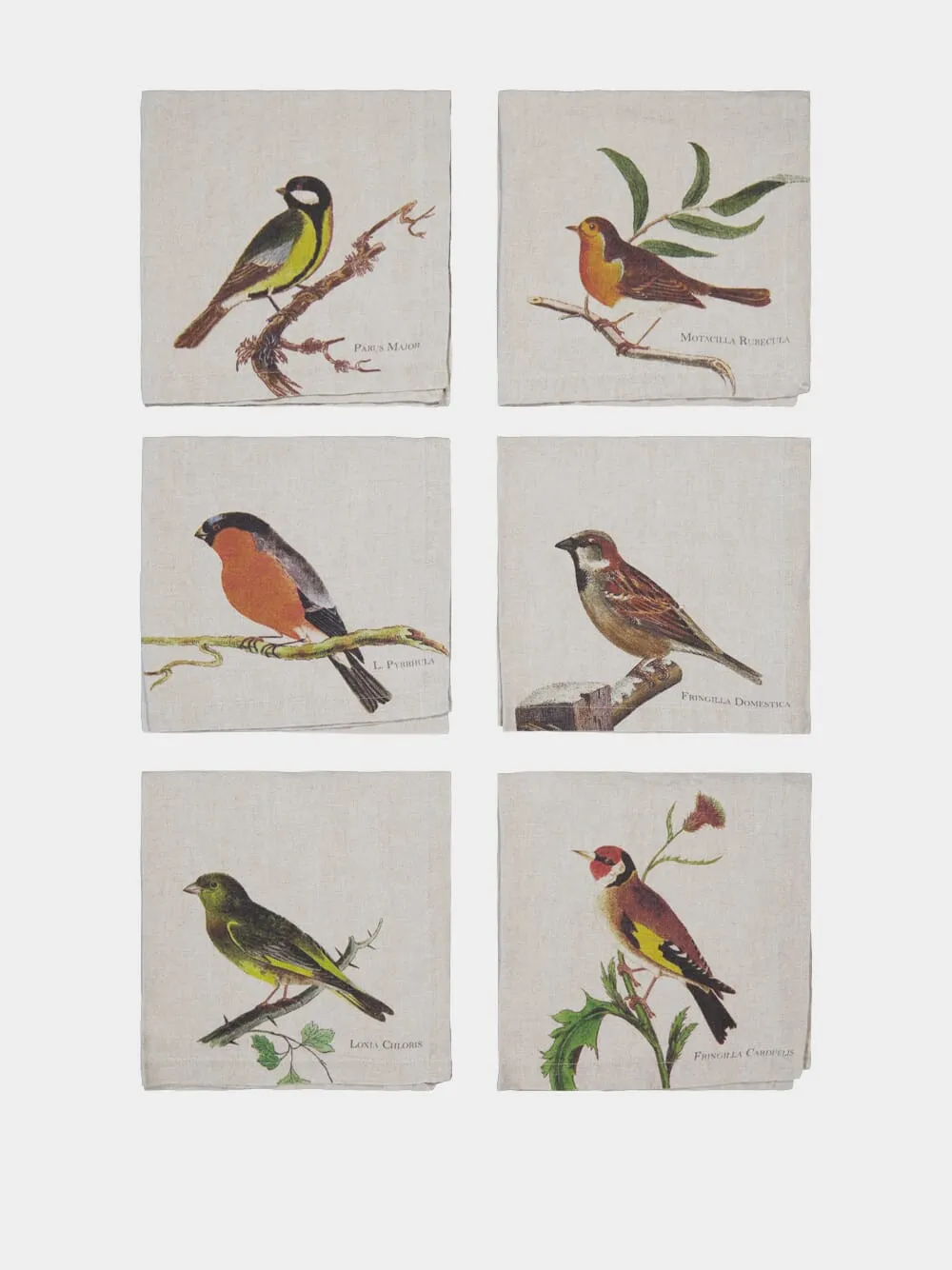 Set of 6 Small Birds Napkins