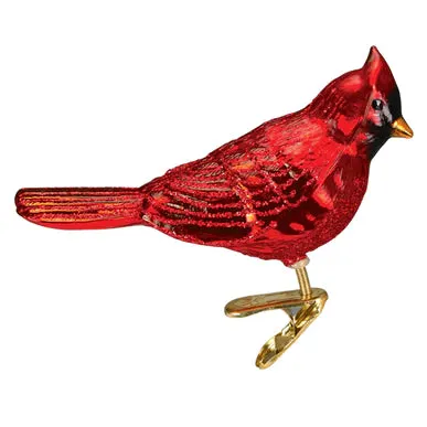 Shiny Red Northern Cardinal