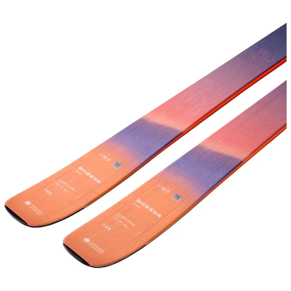 Ski Blizzard ---Sheeva Team