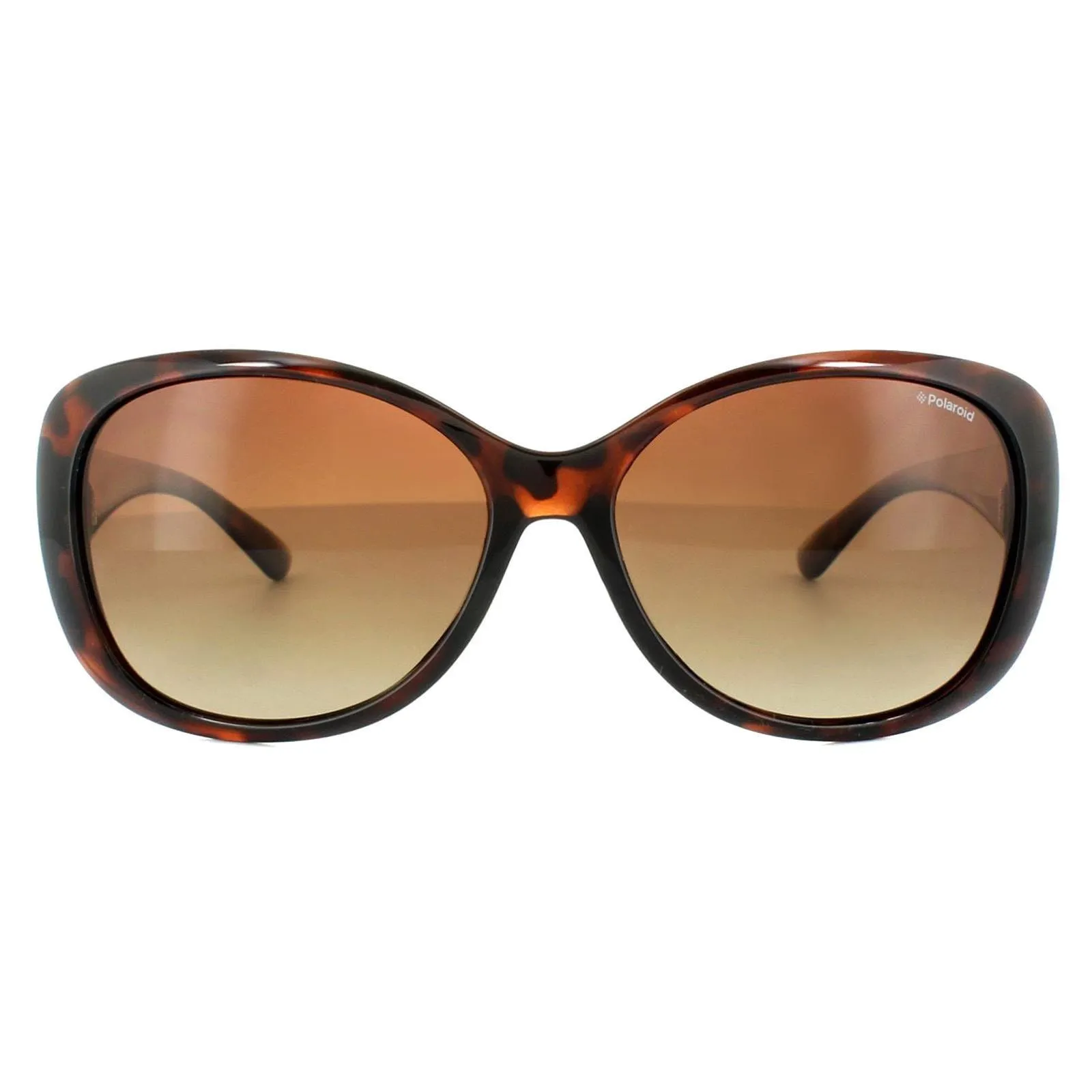 Sunglasses | Fashion Havana Brown Gradient Polarized Sunglasses | Polaroid