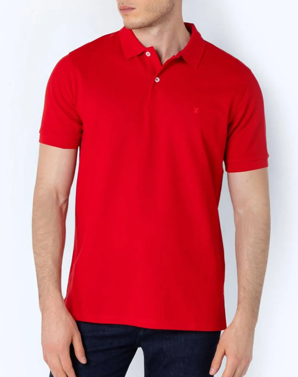THE BOSTONIANS POLO PIQUE REGULAR FIT