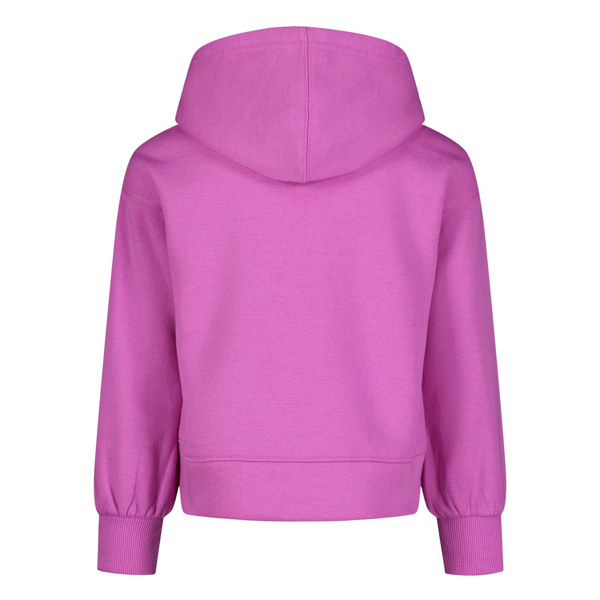 Under Armour Rival Big Logo Hoodie 4-6x  - Clement