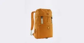 Urban Backpack Patagonia Fieldsmith Lid Pack