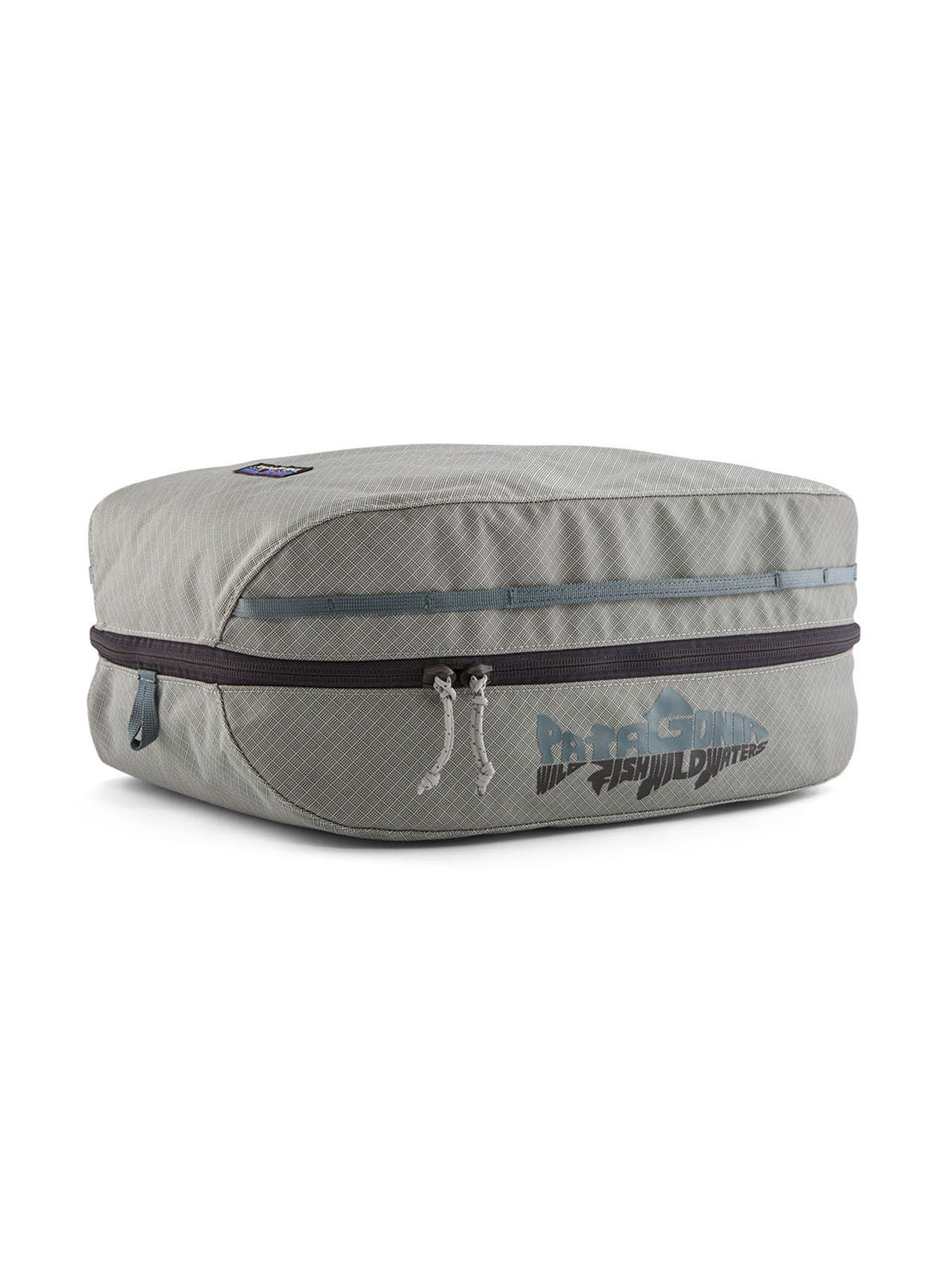 Wild Waterline: Sleet Green Patagonia Black Hole Cube 14L 