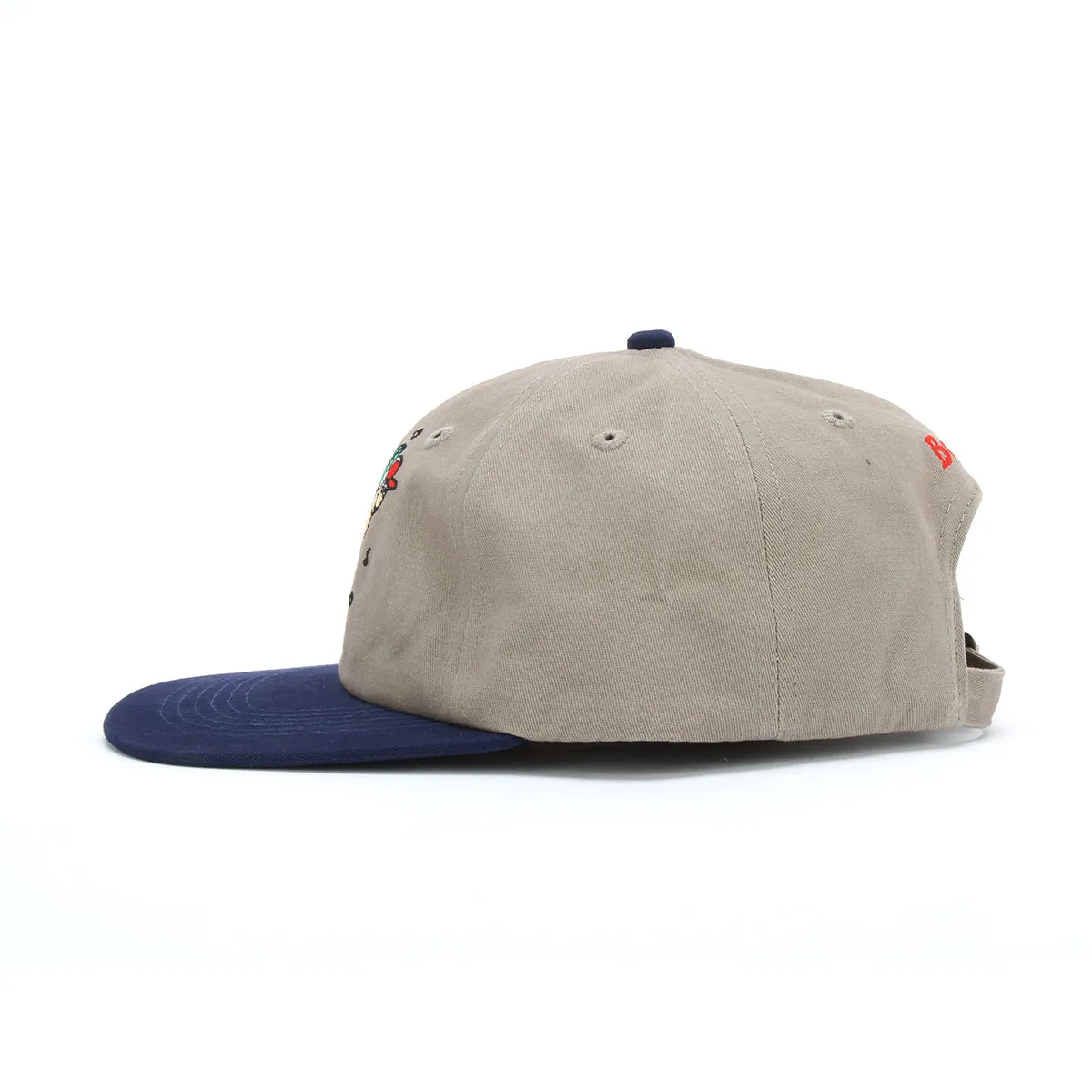 Worm 6 Panel Cap